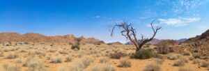 hot as a desert humidity moab enchillada