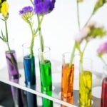 test tube flower experimenting spokeasy blog post lab rat blog post
