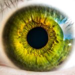 eye alert tropical storm warning farsighted blog post I need a detective blog post