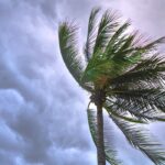 another windy one spokeasy blog post mister finnegan not another one blog post stormwatch blog post unsettled weather blog six months blog