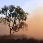 dust storm dry spokeasy blog post around the storms blog