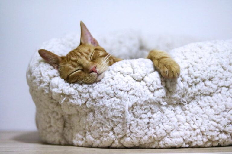 what a night dream dreaming again spokeasy post blog doesn't feel like Mondahy