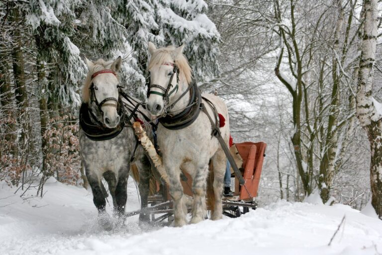 sleigh ride hot chocolate sokeasy