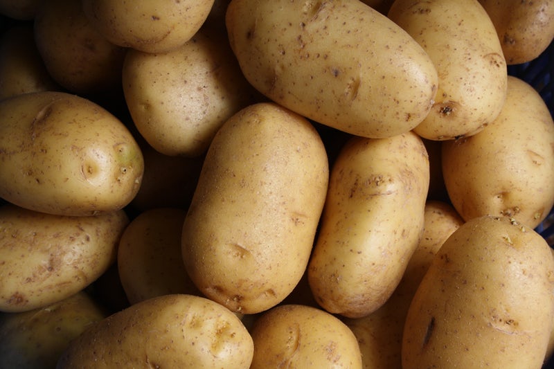 active couch potato spuds spokeasy blog post all over the map page