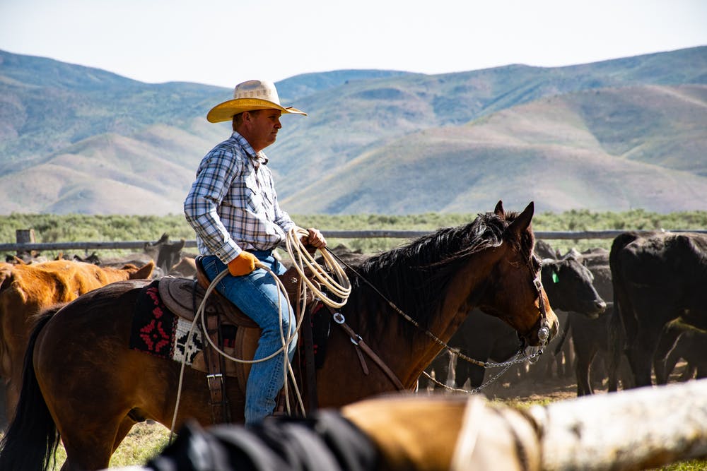 saddle cowboy sore spokeasy Got a Beef blog