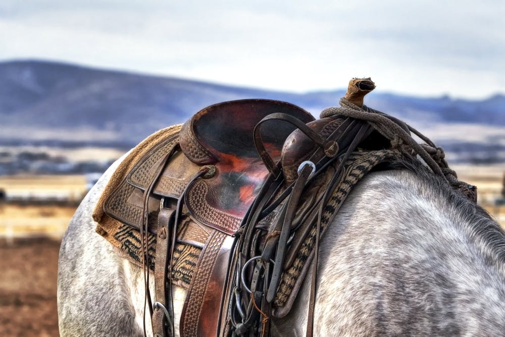 horse ride pack trip travel steppe ready for the range blog post