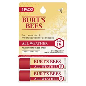 Burt's Bees lip balm spokeasy