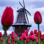 cycling in the Netherlands spokeasy blog post