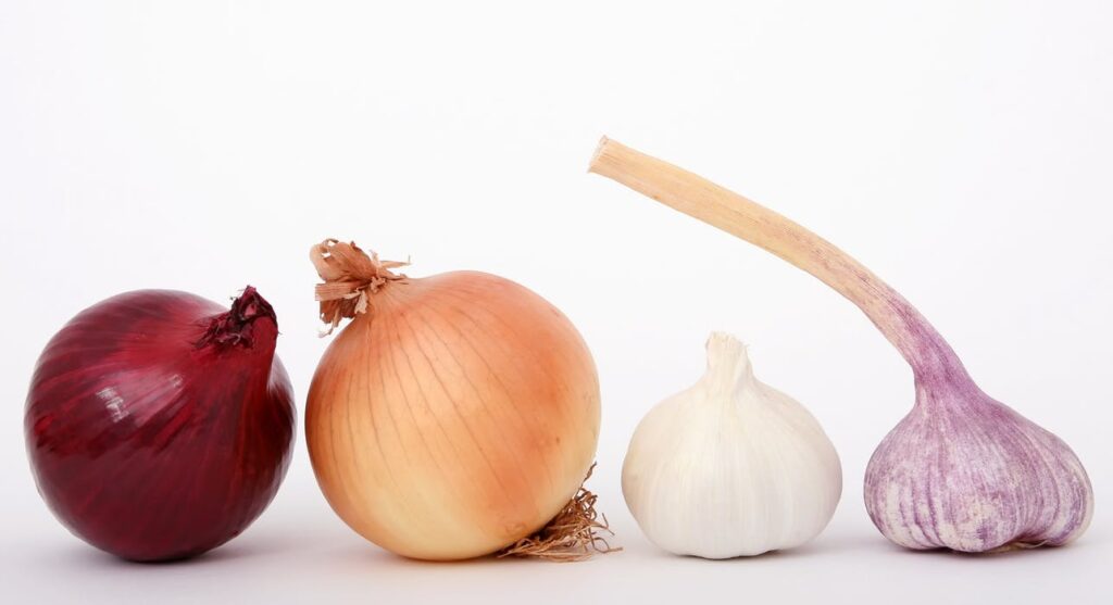 onion garlic cook