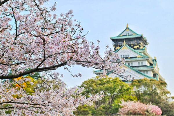 cherry blossom land spokeasy blog post