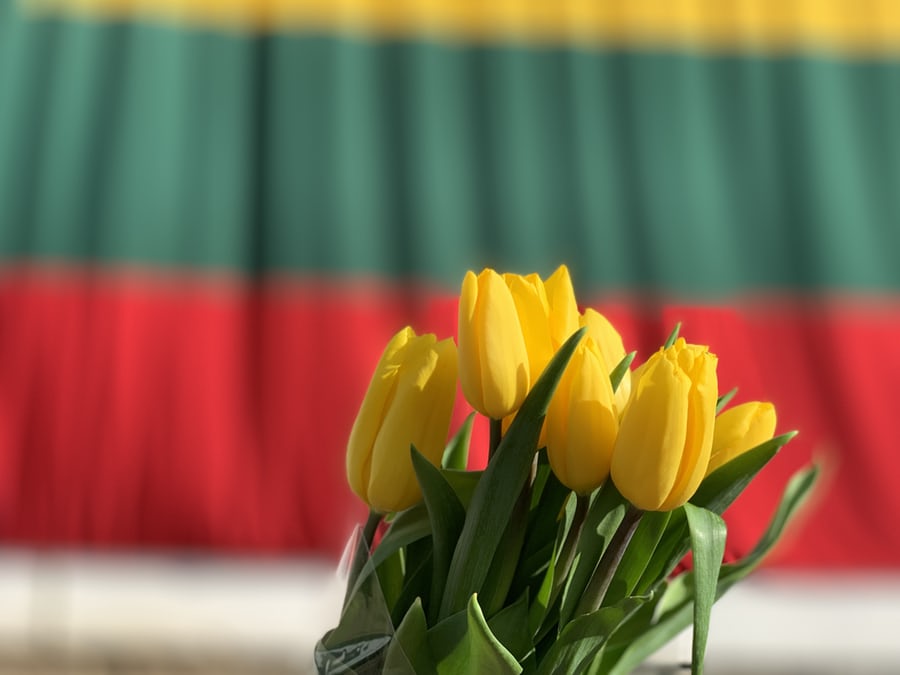 flag lithuania tulip flower
