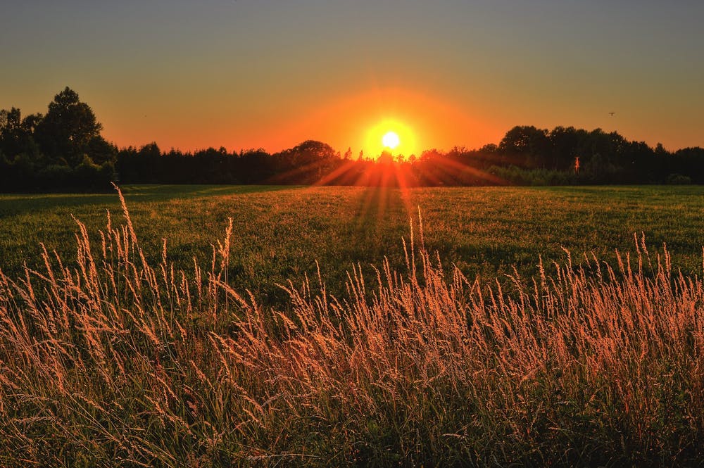 early start dawn century training sport perform Hottest Days blog