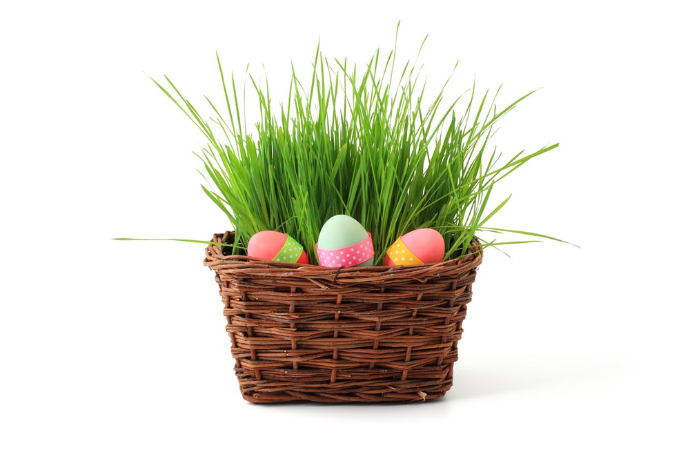 pre easter easter salvage store ride food met-rx bar quest egg hunt blog