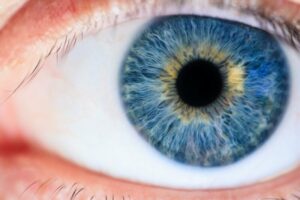 eye aye what did Tennessee spokeasy blog post all over the map page My Story page Eye on the Gulf blog post Southeast page Go AWay Wolf blog