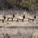 south dakota spokeasy blog post all over the map page discouraging word blog