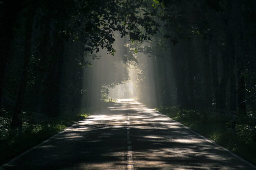 etcetera spokeasy forest light infinity