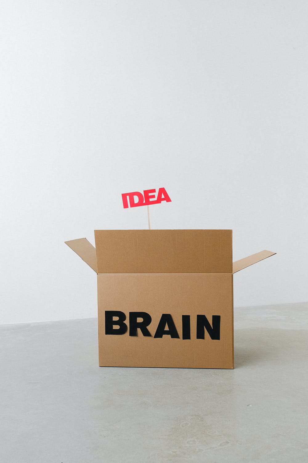 brain dead box idea blog spokeasy