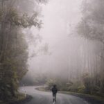 more fog ride spokeasy blog post riding in the fog mistical mornings blog post A Pizza the Action blog