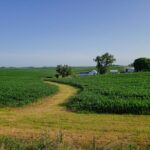 sounds marvelous ragbrai spokeasy bog post going farther afield RAGBRAI ready do not repeat First Long Ride blog post Pushing Gears blog