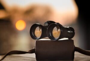 search me spokeasy blog post reconnaissance is perception reality blog post binoculars Eye or Aye page Celestron