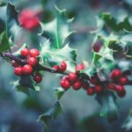 frumenty page spokeasy kitchen want for Christmas blog post