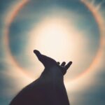 not so angelic spokeasy blog post reach out blog chewing my fingernails blog