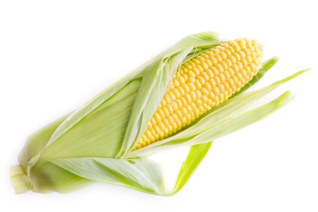 get corny spokeasy blog post RAGBRAI practice blog post all kinds at RAGBRAI blog post
