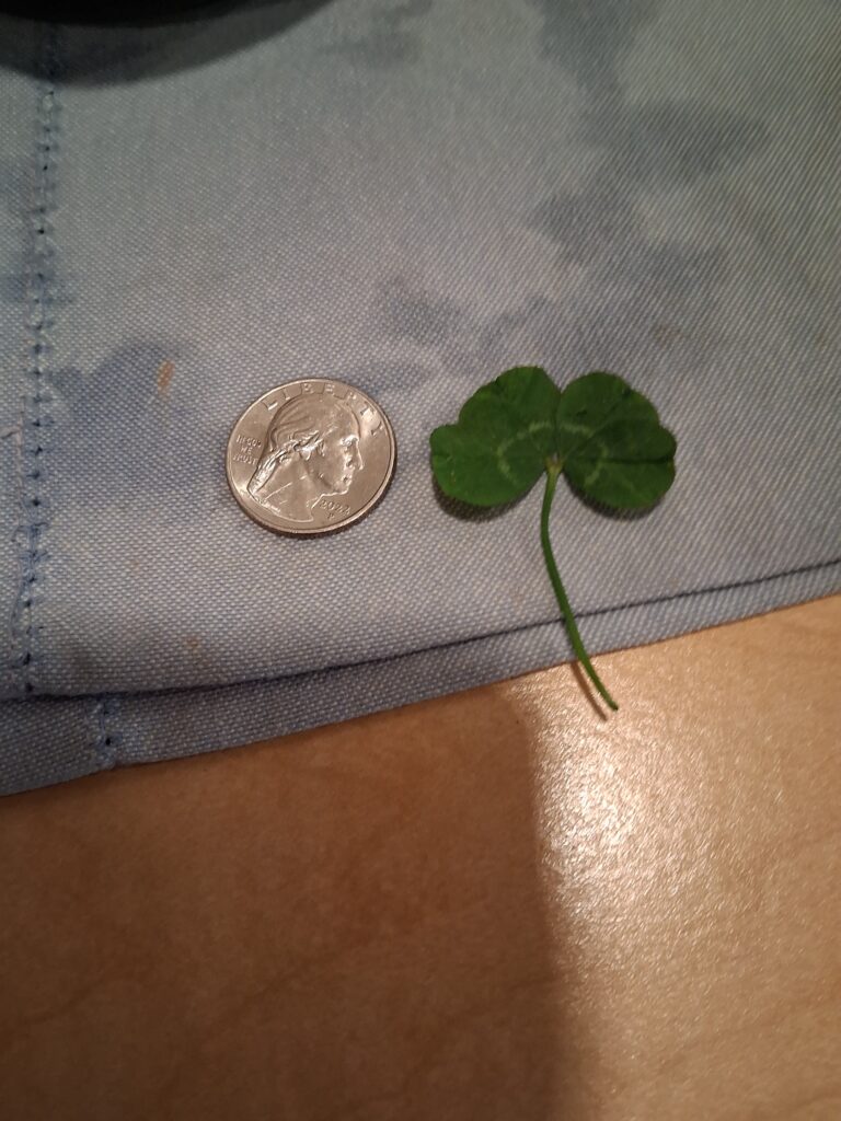 fermata spokeasy blog post planning around the weather blog