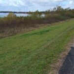 Lamb spokeasy blog post 