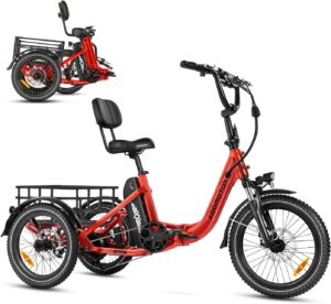 ADDMOTOR CITYTRI spokeasy amazon shop store Adult Tricycles page Electric Bikes/Cargo Bikes page Adaptive Bikes page