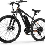 Qlife Electric Bike spokeasy amazon shop store Electric Bikes/Cargo Bikes page Adaptive Bikes page