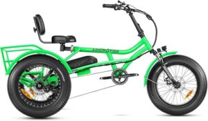 ADDMOTOR ARISETAN spokeasy amazon shop store Electric Bikes/Cargo Bikes page Adaptive Bikes page Adult Tricycles page