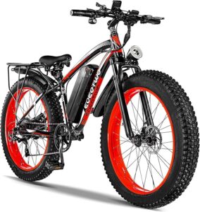EOEOTWO Electric Bike spokeasy amazon shop store Adaptive Bikes page Electric Bikes/Cargo Bikes page
