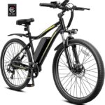Heybike Electric Bike spokeasy amazon shop store Adaptive Bikes page Electric Bikes/Cargo Bikes page