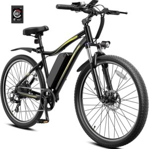 Heybike Electric Bike spokeasy amazon shop store Adaptive Bikes page Electric Bikes/Cargo Bikes page