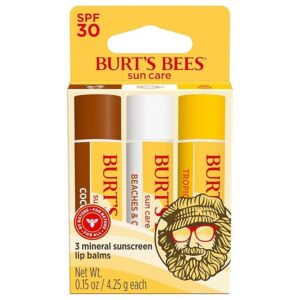 Burt's Bees Lip Balm spokeasy amazon shop store SpokEasy store page Personal Care page