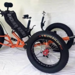 Fat Tire 9-Speed Recumbent spokeasy amazon shop store Bicycles page Seen and Heard Bent page