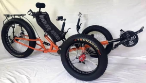 Fat Tire 9-Speed Recumbent spokeasy amazon shop store Bicycles page Seen and Heard Bent page