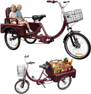 MOOITZ Adult Tricycle pokeasy amazon shop store Bicycles page Adult Tricycles page Adult Trikes page Tandems page Seen & Heard Tandem page S&H Tandem page Foreshadow blog post