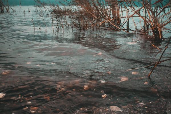 garbage soup cookin' spokeasy