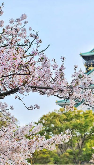 japan spokeasy blog post asia/middle east page globetrotting