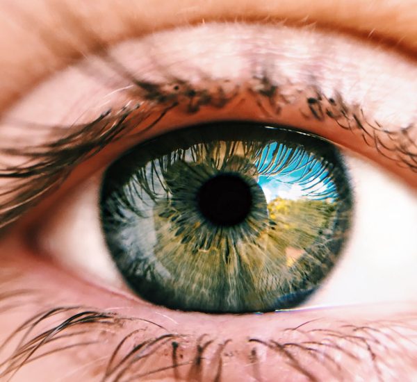 things i've seen eye iris ride spokeasy post blog