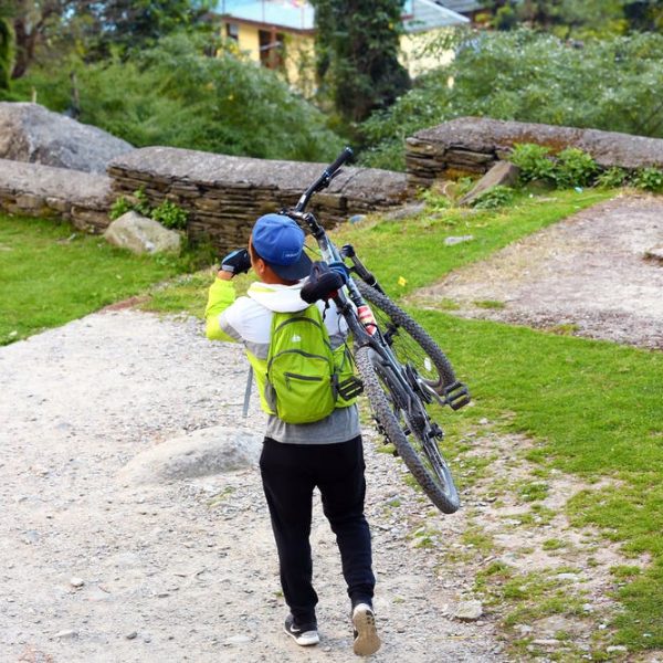 archives spokeasy page which bike for me blog post amazon