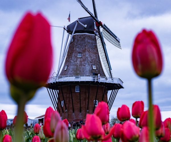 cycling in the Netherlands spokeasy blog post