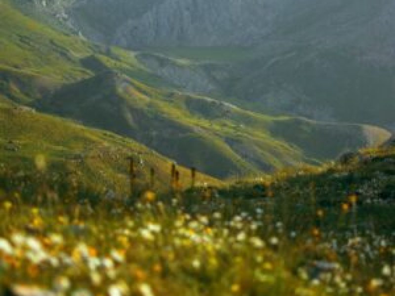 algeria blog post globetrotting page