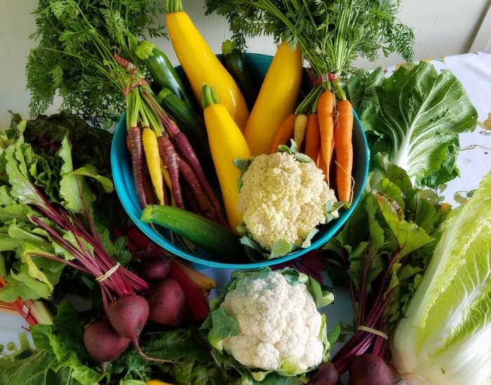 with hoe and spade spokeasy blog post all over the map page