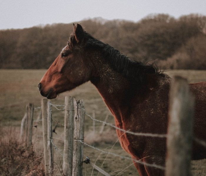 justin morgan spokeasy post blog all over the map page