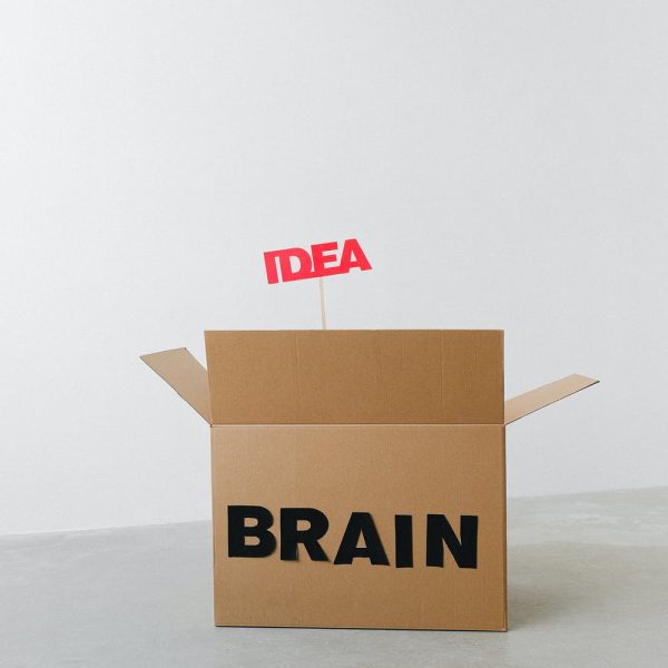 brain dead box idea blog spokeasy