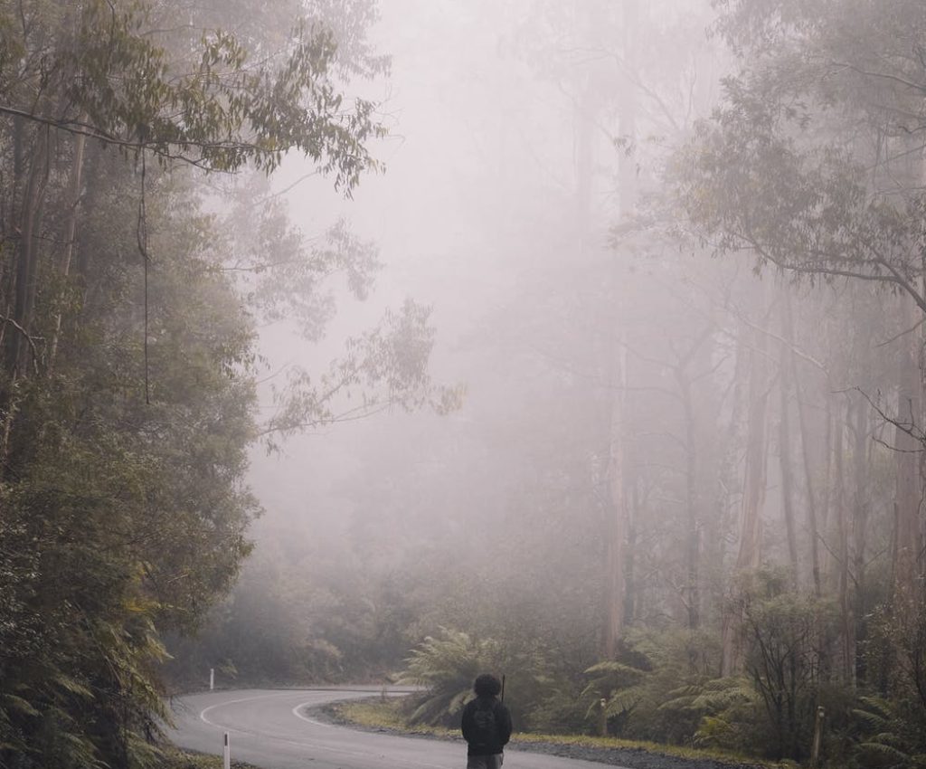 more fog ride spokeasy blog post riding in the fog mistical mornings blog post A Pizza the Action blog