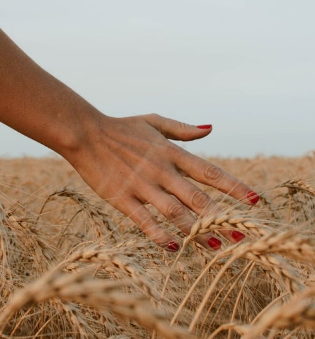 cooking grains cookin' spokeasy